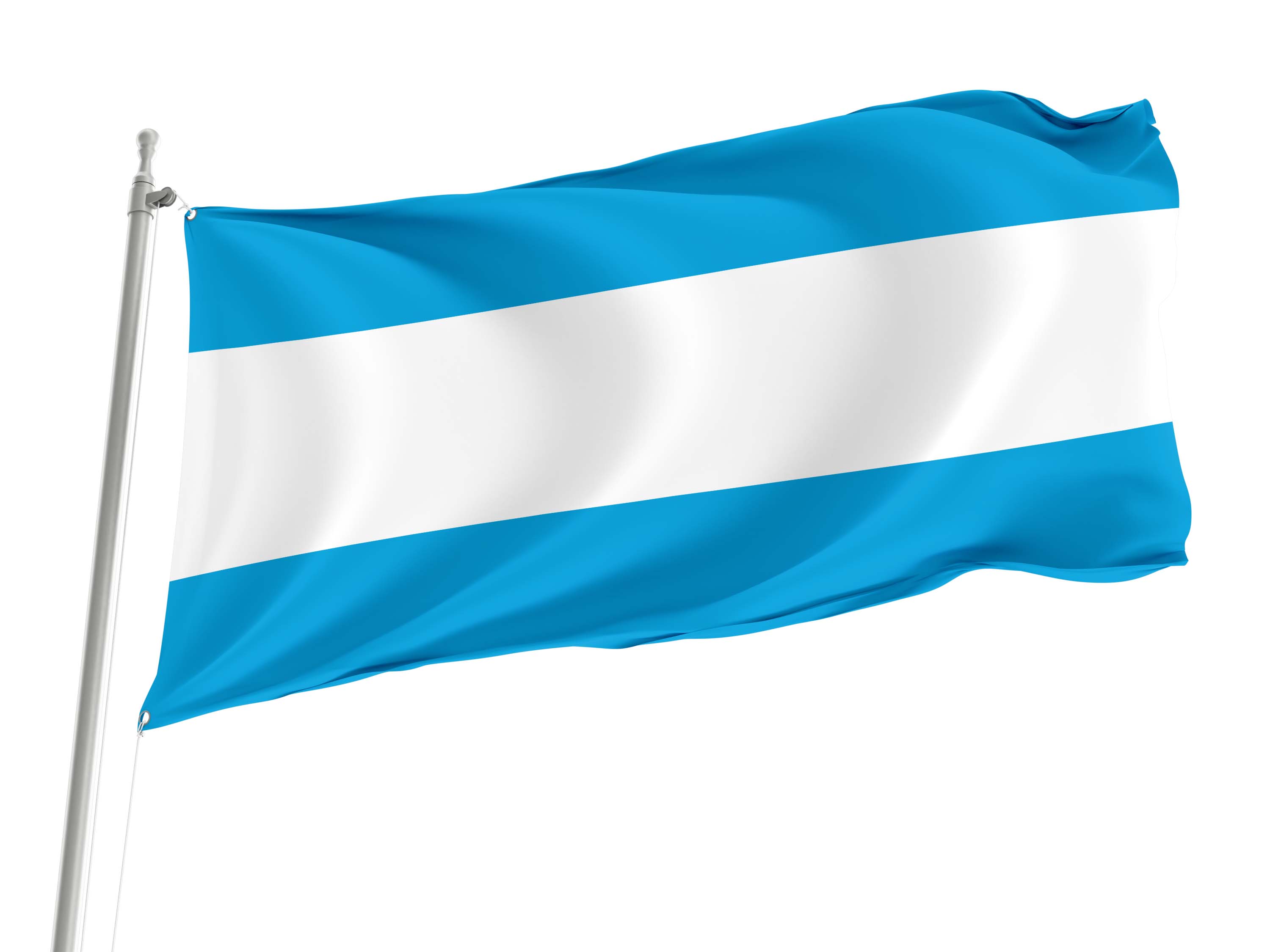 Maardu Flag for Indoor & Outdoor Use