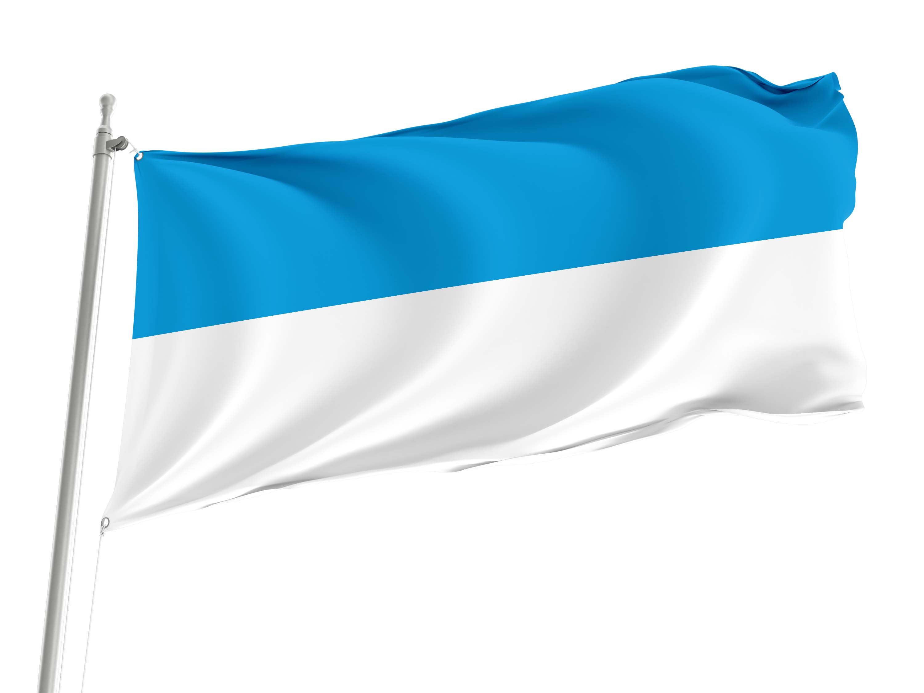 Viljandi Flag for Indoor & Outdoor Use