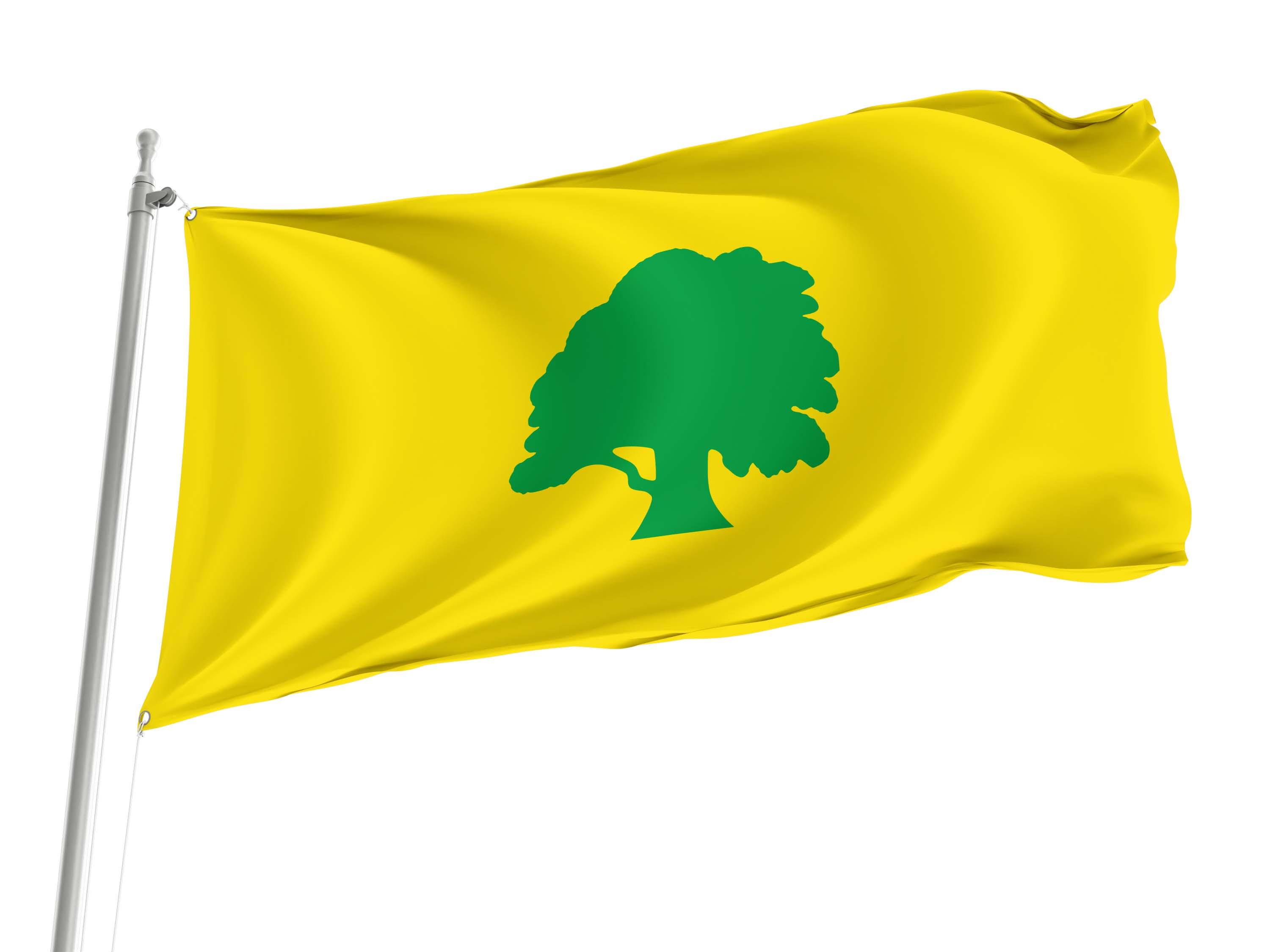 Antsla Parish Flag for Indoor & Outdoor Use