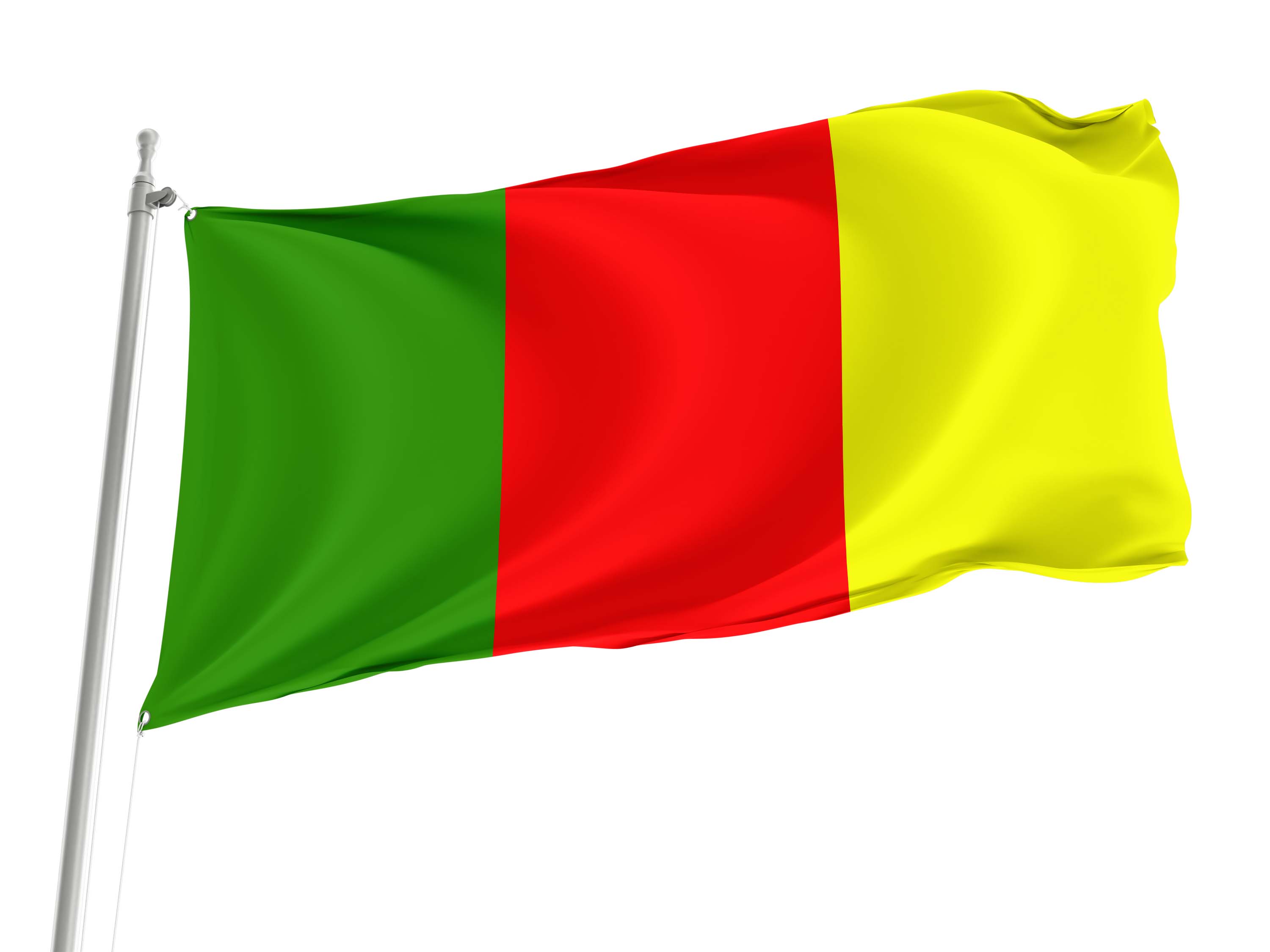 Carlow County Colours Flag for Indoor & Outdoor Use
