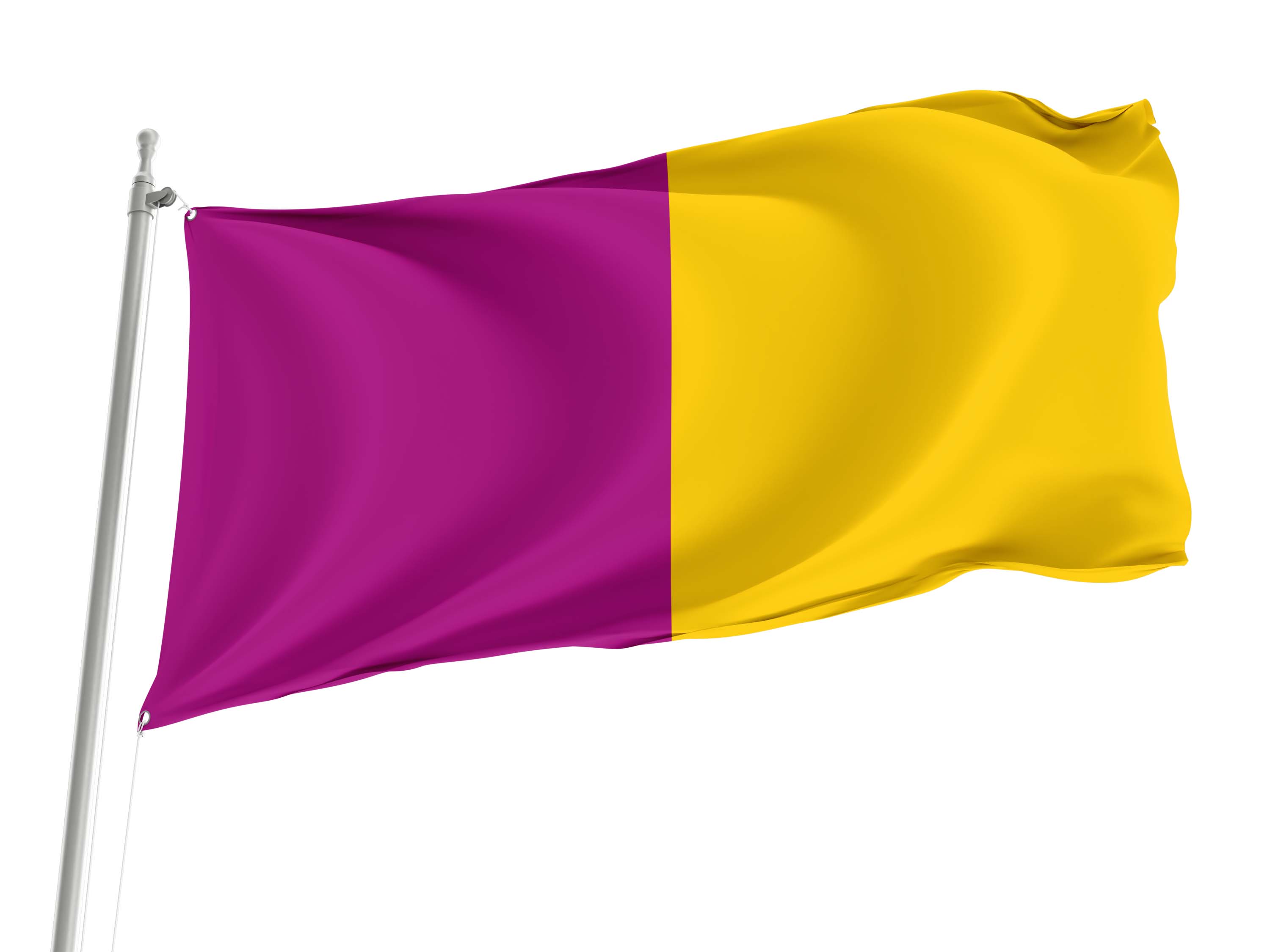 Wexford County Colours Flag for Indoor & Outdoor Use