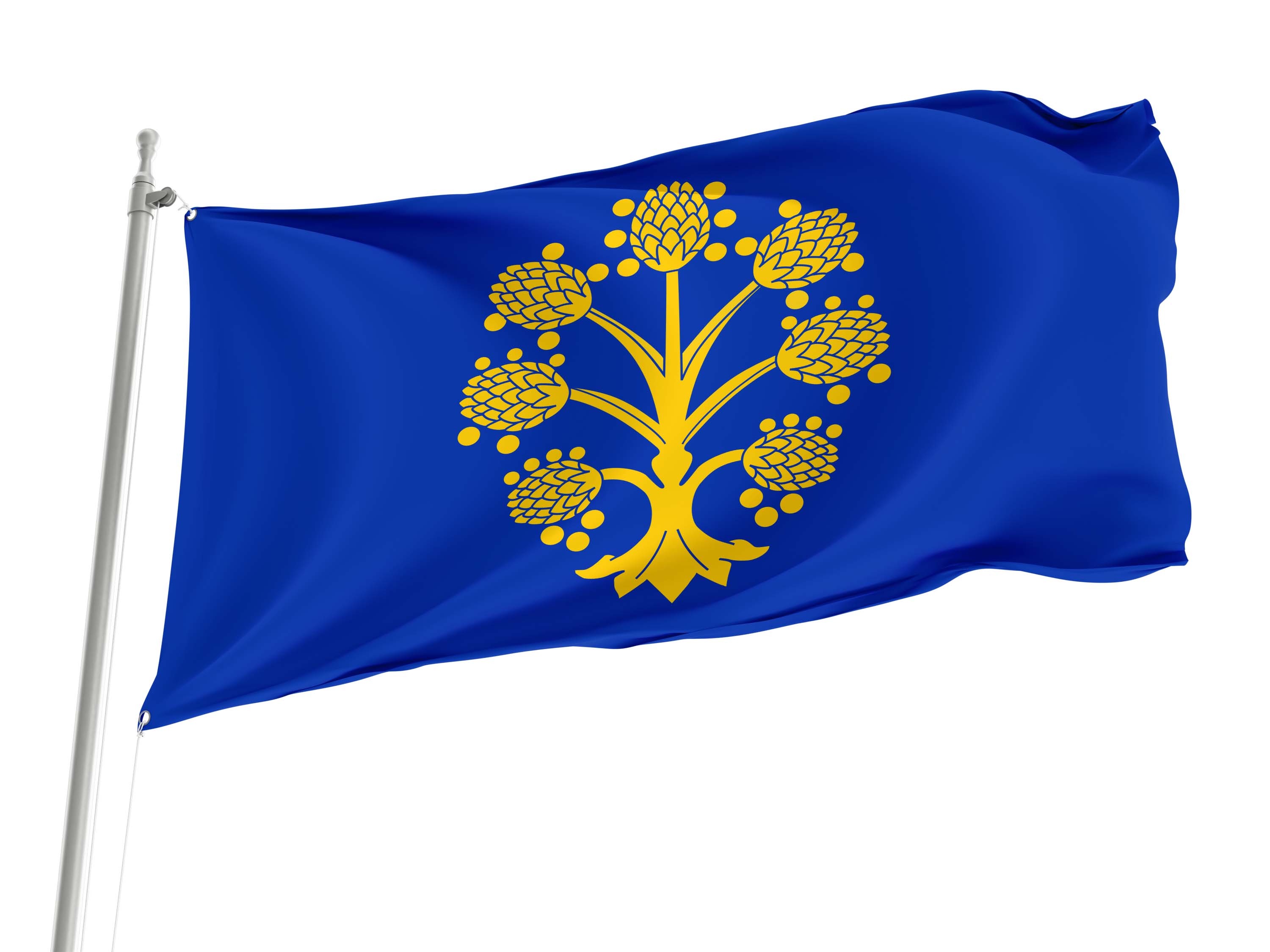 Appleby-in-Westmorland Flag for Indoor & Outdoor Use