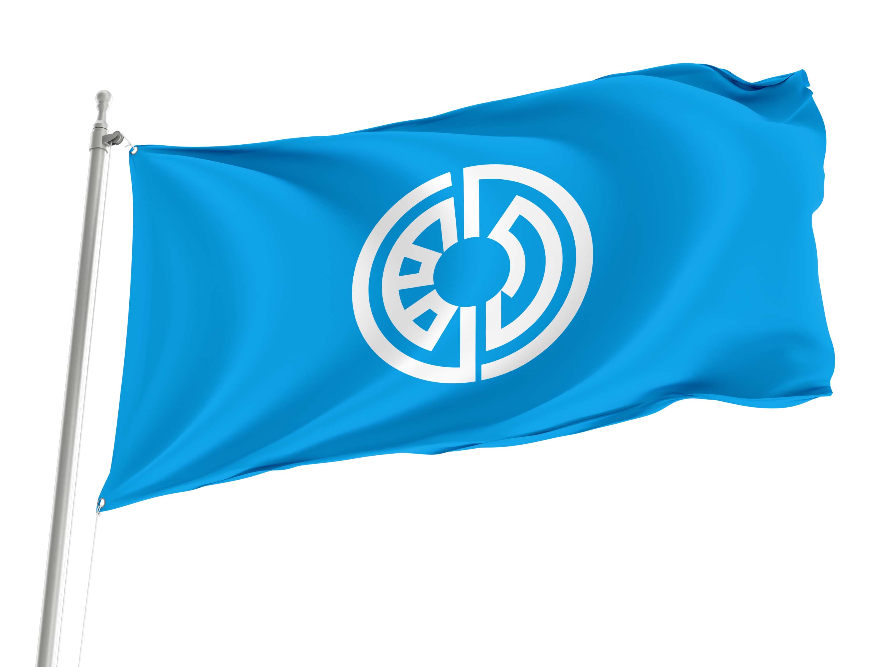 Oiwake Flag for Indoor & Outdoor Use